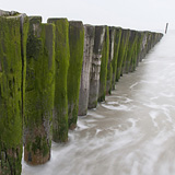 Flamish and Zeelandic coast